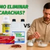 Cómo Eliminar Cucarachas: Remedios Caseros vs Productos Profesionales