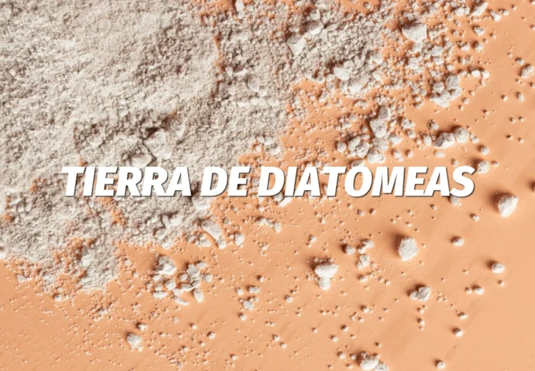 Tierra-de-Diatomeas-Guía-Completa-sobre-Usos,-Beneficios-y-Dónde-Comprarla-en-Colombia